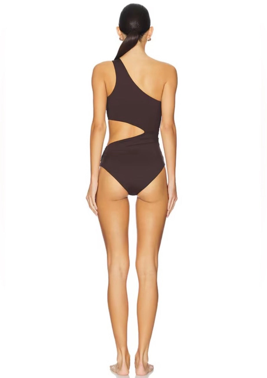 Beach Riot Anja One Piece Swimsuit Java Jewel Sz XL $188