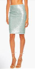 Susana Monaco
Dot Sequin Pencil Skirt in Celadon Sz XS $148