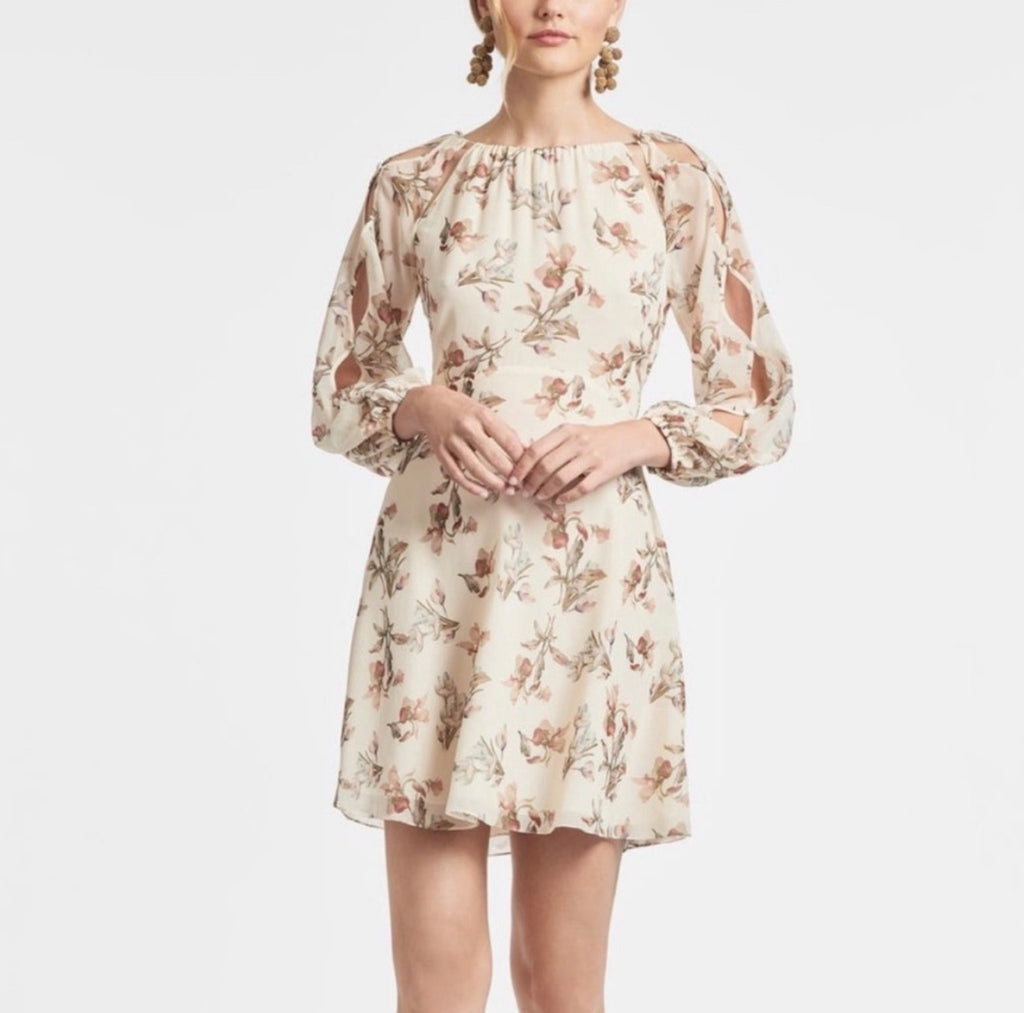 Sachin & Babi Bevvy Floral Chiffon Mini Dress Eggshell Size 6 $425