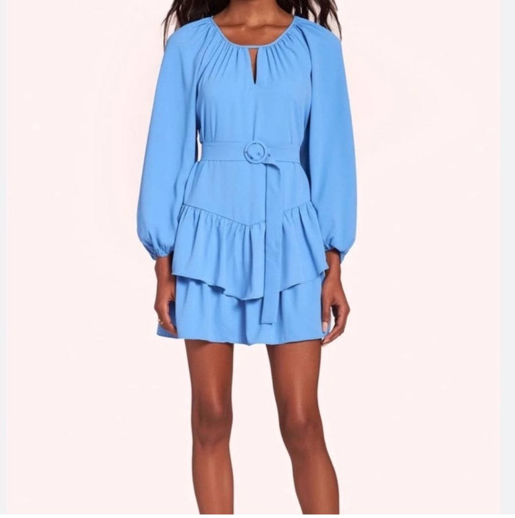 Amanda Uprichard Cleobelle Blue
Long Sleeve Tiered Mini Dress Size
Medium  $233