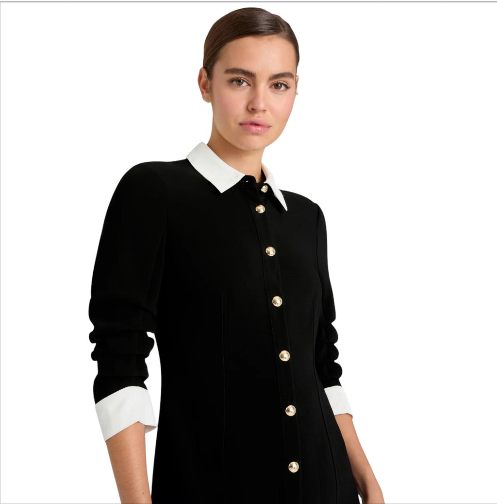 CINQ À SEPT Drapey Crepe Lucilla Dress Black/Ivory Size 4