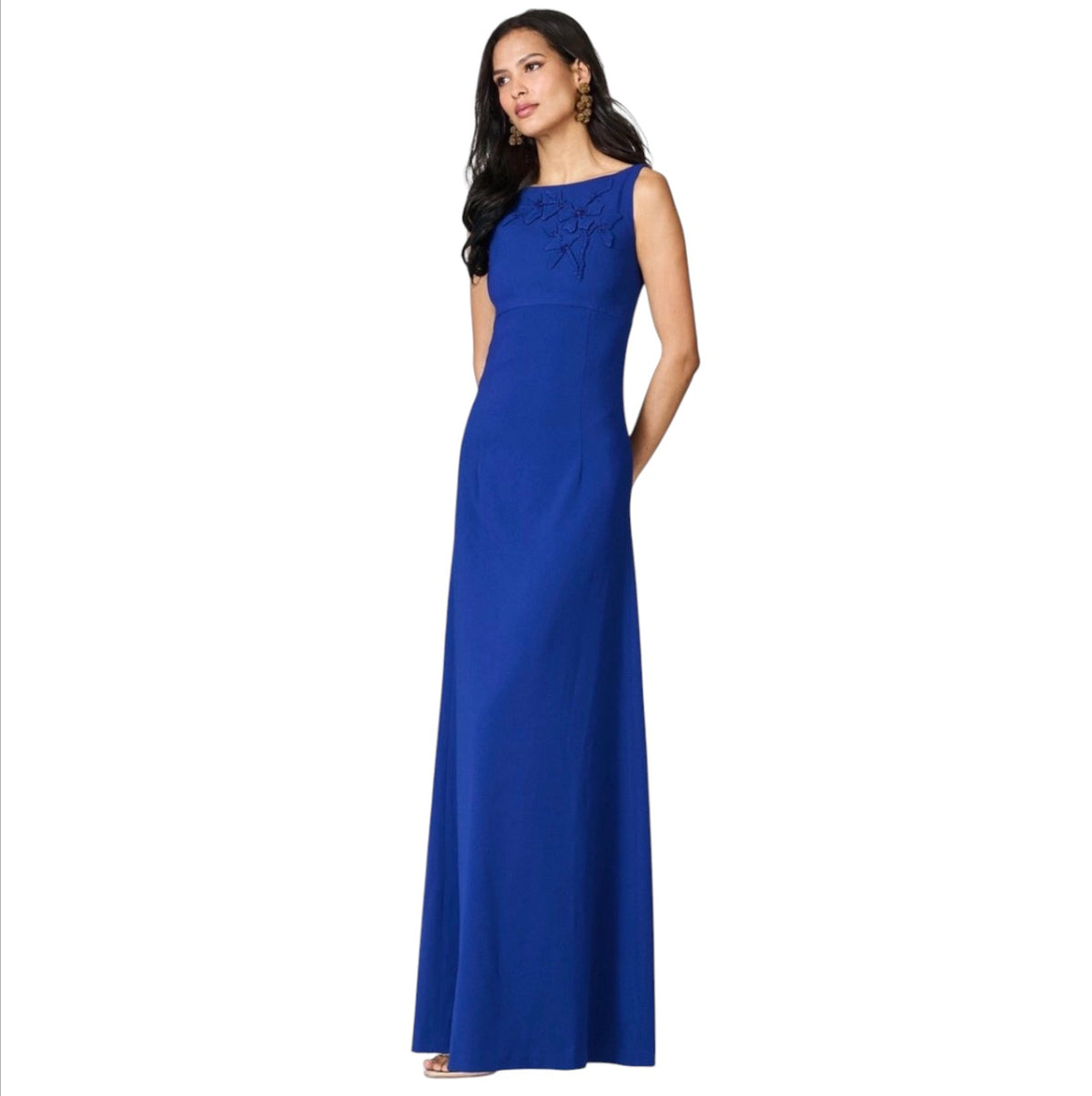 Sachin & Babi Tracey Royal Blue Appliqué Full Length Gown Sz 0