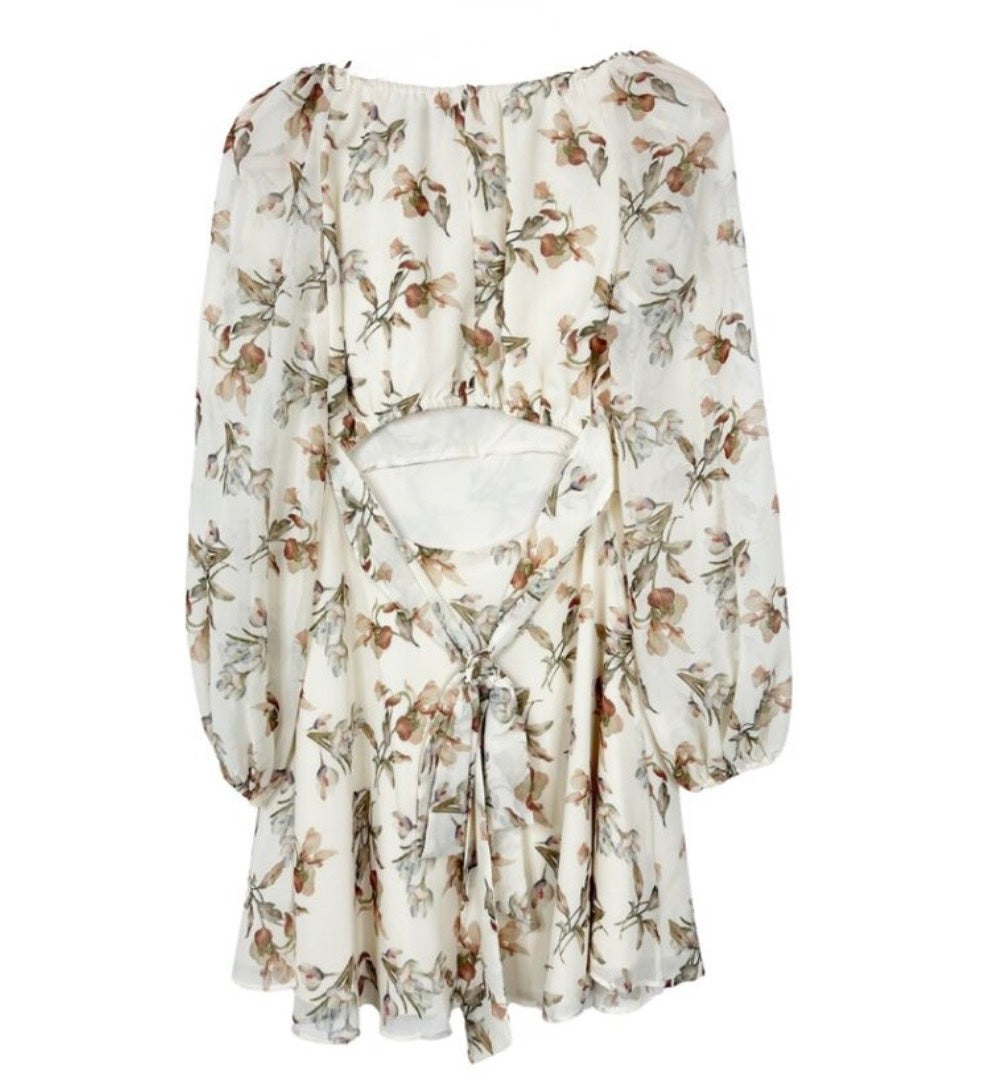 Sachin & Babi Bevvy Floral Chiffon Mini Dress Eggshell Size 6 $425