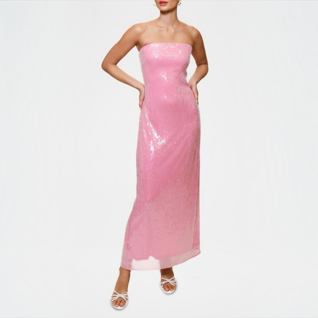 Hutch Elena Strapless Sequin Column Maxi Dress in Pink Sz XXS