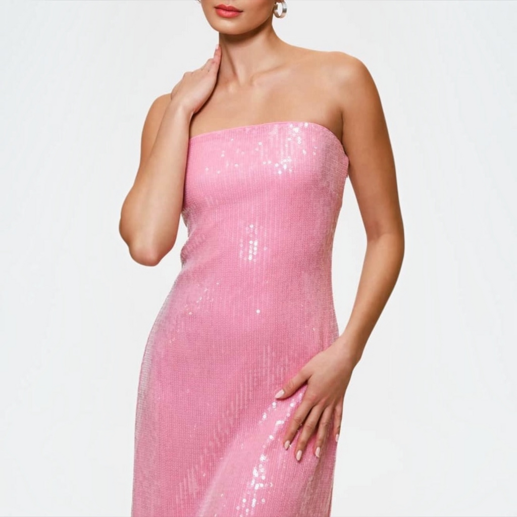 Hutch Elena Strapless Sequin Column Maxi Dress in Pink Sz XXS