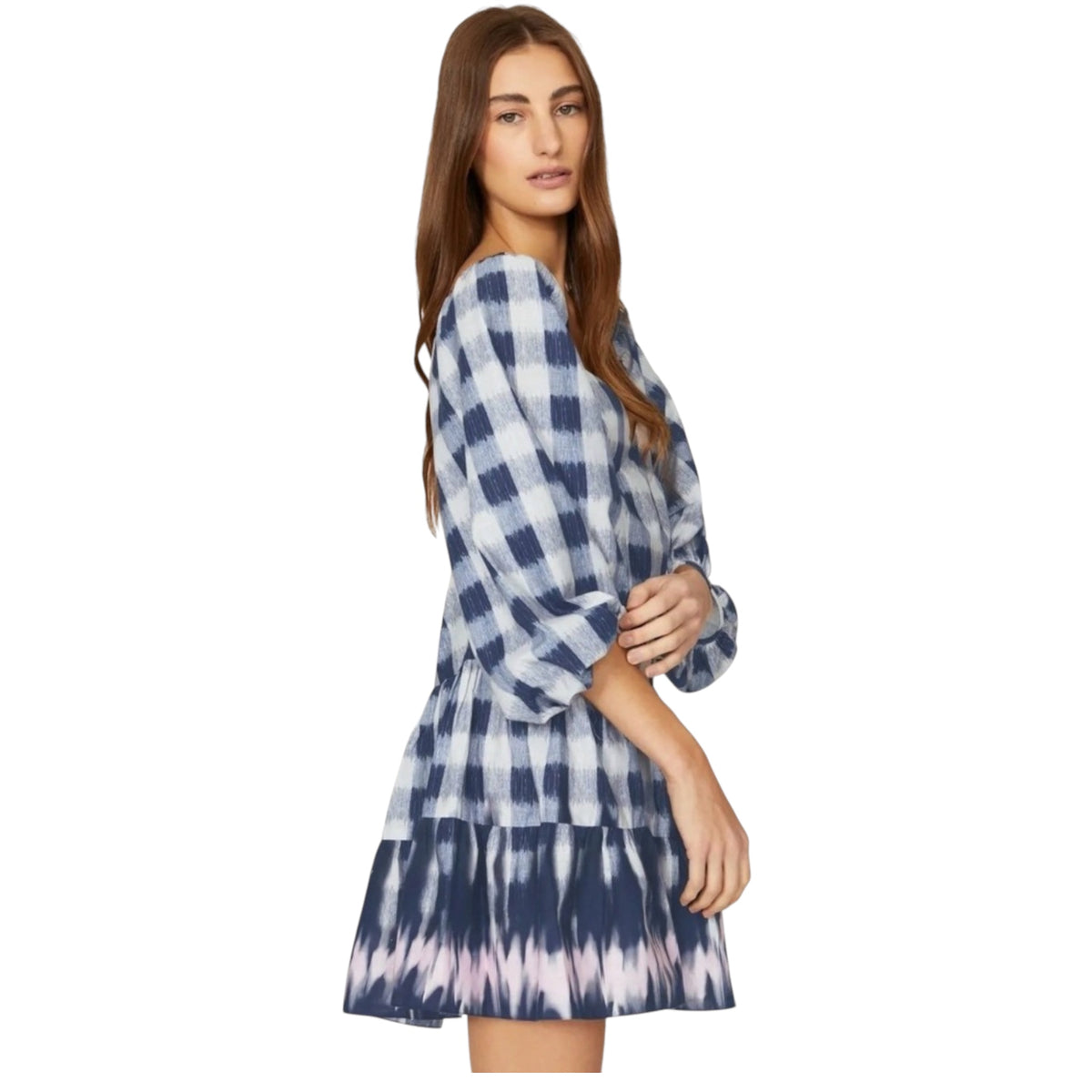 Sachin + Babi Kyle
Dress Mini Dress Blue Gingham