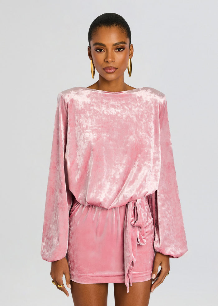 Retrofete Elysia Velvet Dress in Vintage Rose size Small $498